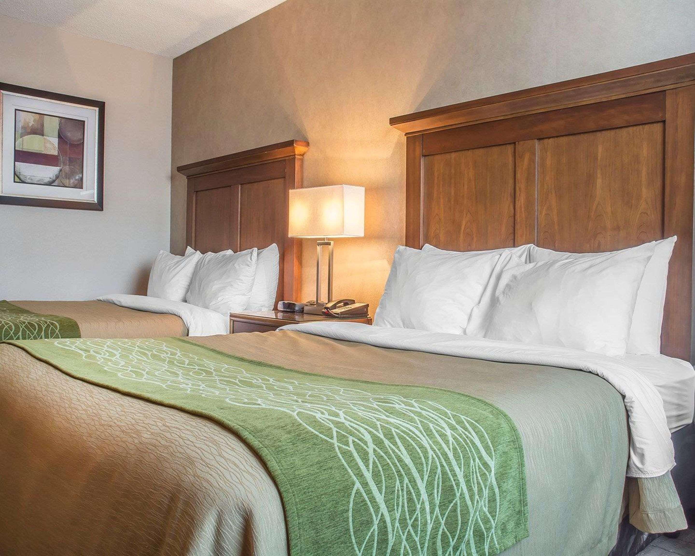 Comfort Inn Port Hope Buitenkant foto